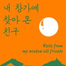 씨엔씨티마음에너지재단 이미지