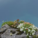 대한(아) 이미지