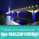 여수 화양~적금 해상교량 야경투어~~ 이미지