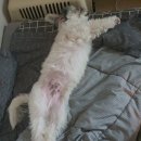 춘이네 멍치원 이미지