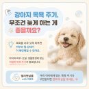 젤리펫살롱 with 아로마 이미지