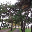 탑지 생태공원 | 영천여행, 가을에 정취에 빠져보는 탑지생태공원