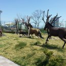 영도상징 절영마상 이미지