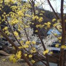 금당농장 이미지