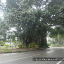 타운스빌 이미지