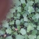 미리산길 이미지