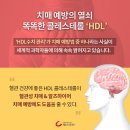 치매 예방의 열쇠 'HDL 콜레스테롤' 이미지