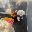 놀러오개 서대문점 이미지