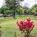 봉동 게이트볼장 이미지