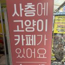 고양이 마을 | [잠실 놀거리 추천] | 방이동 힐링 코스로 완벽한 고양이 카페 '길고양이마을' 방문 후기