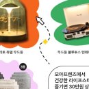 모아플라워 이미지