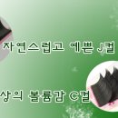 벨르래쉬