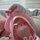 이가분실 | 앙쥬 치발기/메디토이 코끼리 치발기 실사용 추천 후기