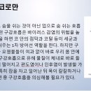 영어북클럽(중급) 네이버블로그