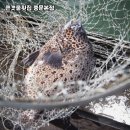 큰갯물횟집중문본점 이미지