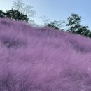 정읍사 문화공원 이미지