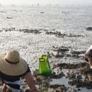 노을빛진산펜션 이미지