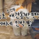 예랑민박 이미지