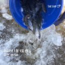 그린 낚시터 이미지