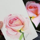 수채화 캘리그라피 이미지