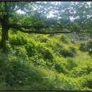 공이보건진료소 이미지