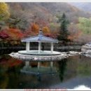 추령주유소 이미지