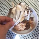 송이농장 이미지