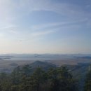 하이디 흑염소 농장 이미지