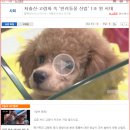 백산동물병원 이미지