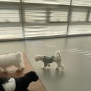 다녀오개습니다 이미지