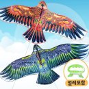 연