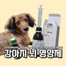 카탈리시스