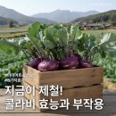보석암 | 콜라비 효능 8가지와 부작용, 다이어트 식단의 숨은 보석