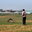 BG독케어센터 네이버블로그