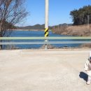 안포 농장 이미지