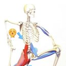 칠원체육관 이미지