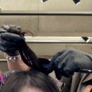 세븐일레븐 수변공원점 이미지