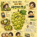 수현농장 | 글벗 나눔 그림일기. 먹어본 사람이 다시 찾는 샤인머스켓 (ft. 수현 님)