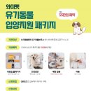 와이펫 이미지