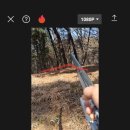 대조-010 이미지