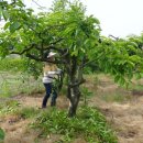 오석농장 이미지