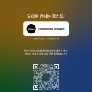 신곡동 메타세쿼이아길 경기도뉴스
