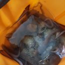 집시펜션 이미지