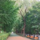 정릉천 제방 이미지