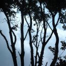 토제방울 이야기 | 토함산 탈해사당터와 요내정이라 불리는 포수우물 찾아가는 길