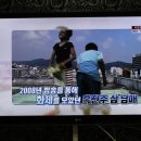 나무와사람들 이미지