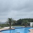 제주김박물관 이미지