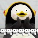 하나데코 이미지