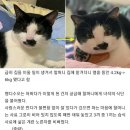 할머니집 이미지