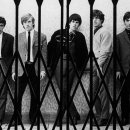 Holly Shop 이미지